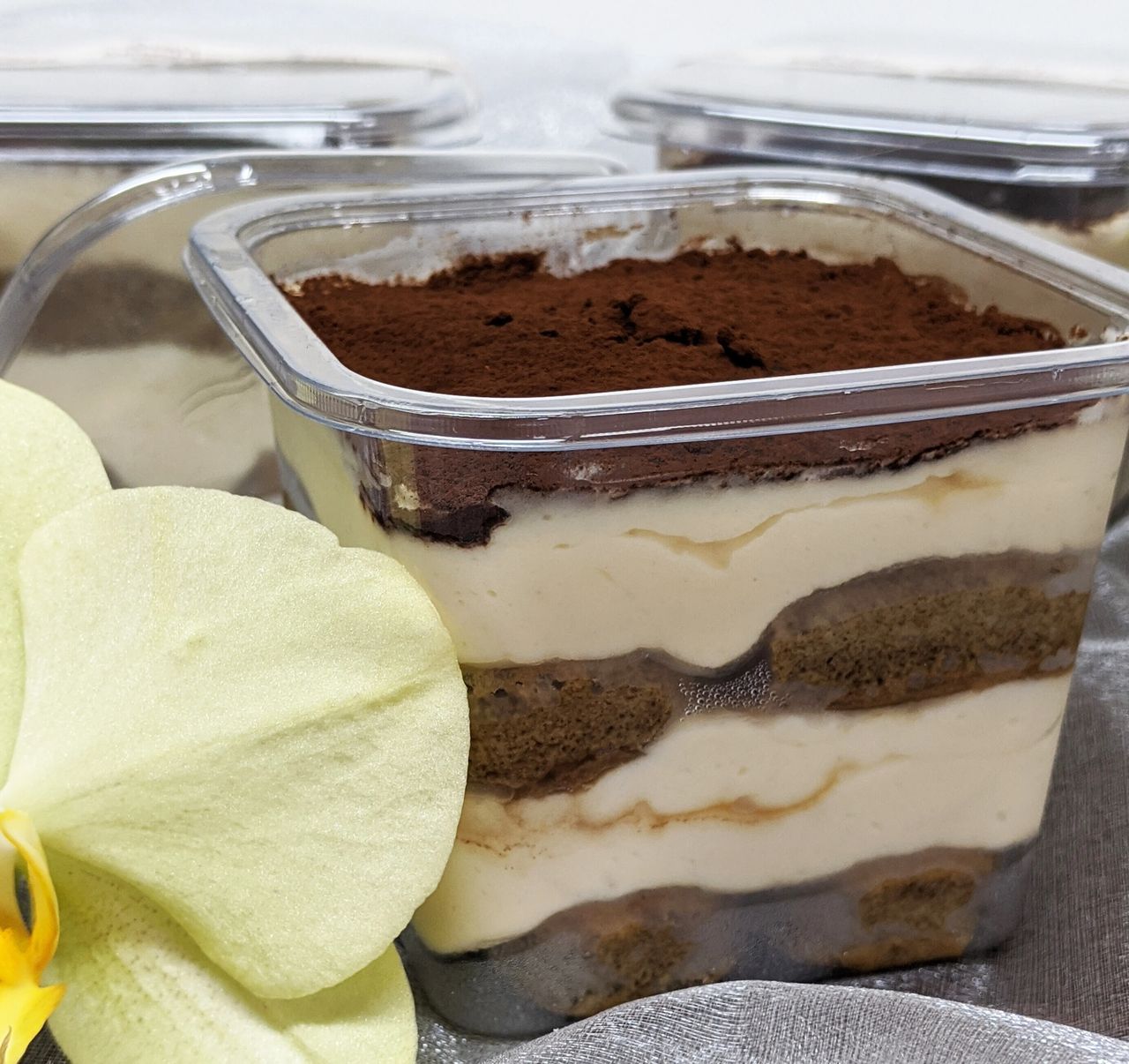 Tiramisu (2)