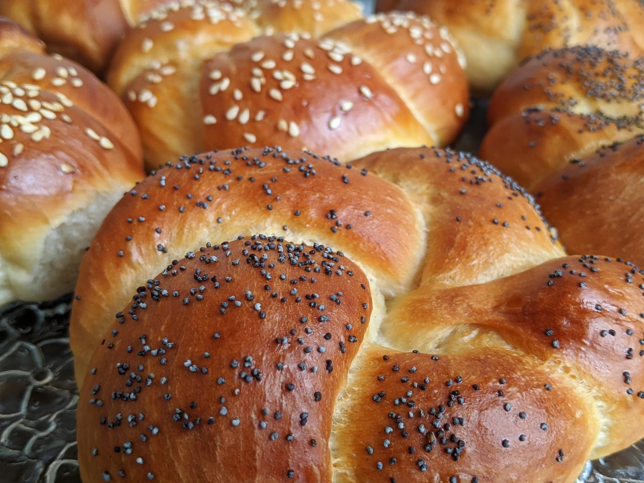 Kaiser roll